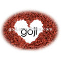 Goji, goji berries, 2012 new crop